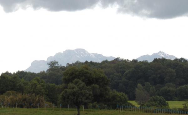 LOTEO SAN ANDRES. TERRENOS DE MEDIA HECTAREA.