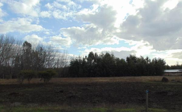 Parcela de 5.000 m2 San Ignacio, Ñuble 