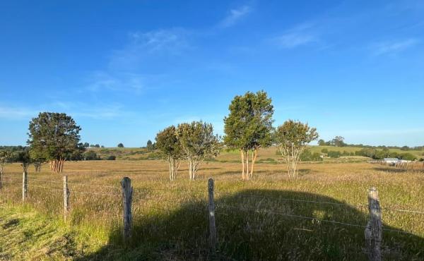 FOTO REAL, TOTALMENTE PLANA IDEAL PARA LLEGAR Y CONSTRUIR, UBICADA A 200 METROS DE LA CARRETERA W305. 