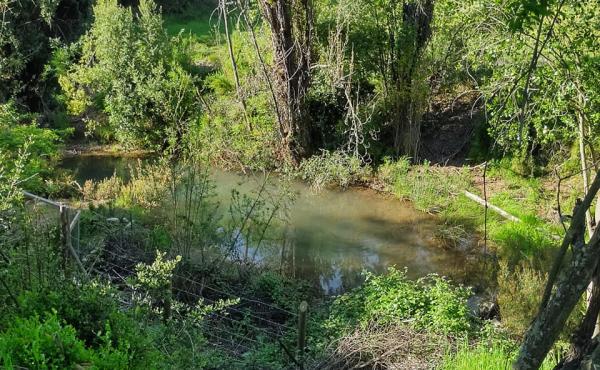 Gran sector, sin contaminación, rodeado de naturaleza.