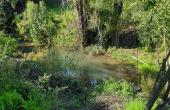 Gran sector, sin contaminación, rodeado de naturaleza.