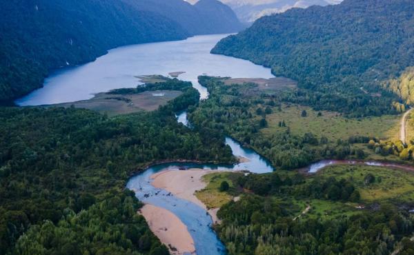 Raíces de Río Cóndor