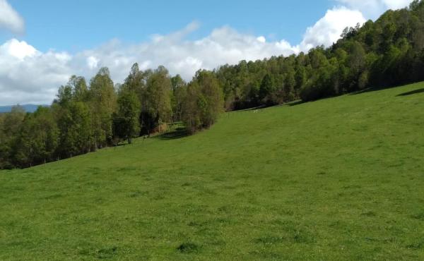 Se vende Campo en Riachuelo - Río Negro