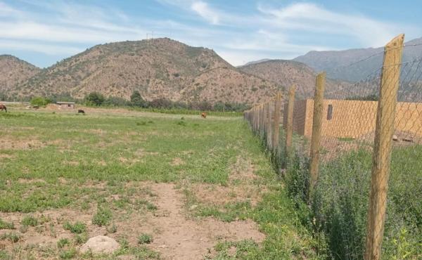 terreno ubicado en  san fco de mostazal