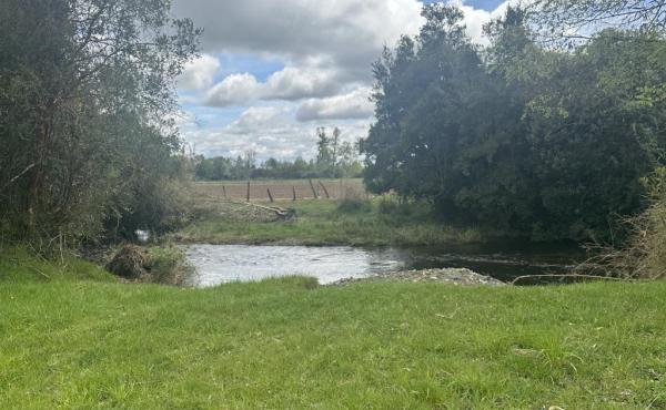 VENDO CAMPO DE 9,1 HECTAREAS EN CRUCERO RIO BUENO AL LADO DEL RIO CONTRA