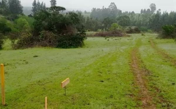 Se Vende Parcela En La Localidad De Boyeruca