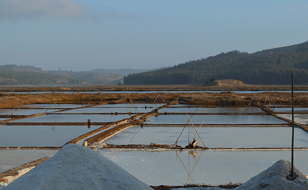 salar de Boyeruca