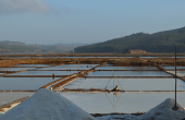 salar de Boyeruca