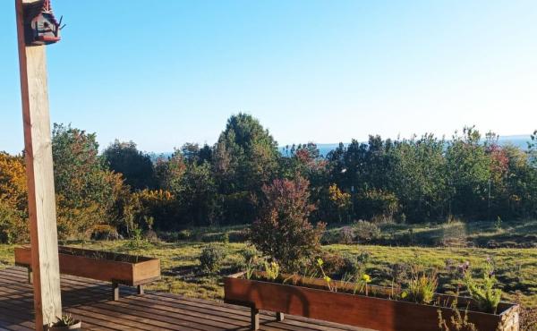 Vista desde la terraza