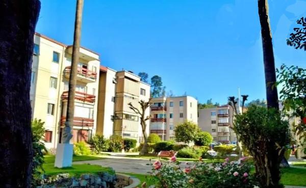 VD601 VENTA DEPARTAMENTO 2D 2B 1E - SECTOR QUINTA VERGARA - VIÑA DEL MAR